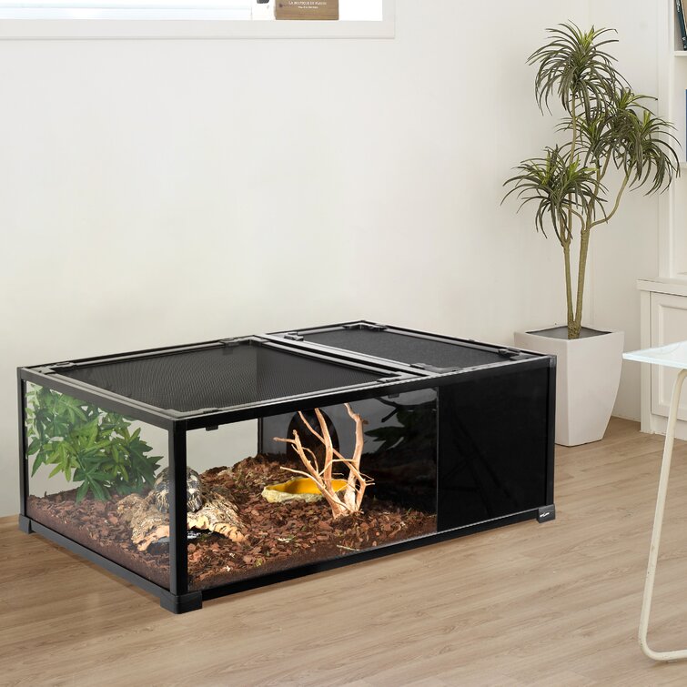 Guinea clearance pig terrarium